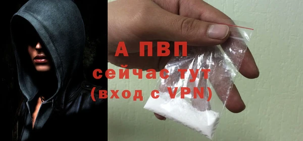 ECSTASY Волосово